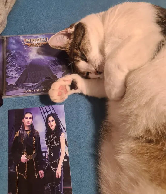Songs of Power CD with a cat